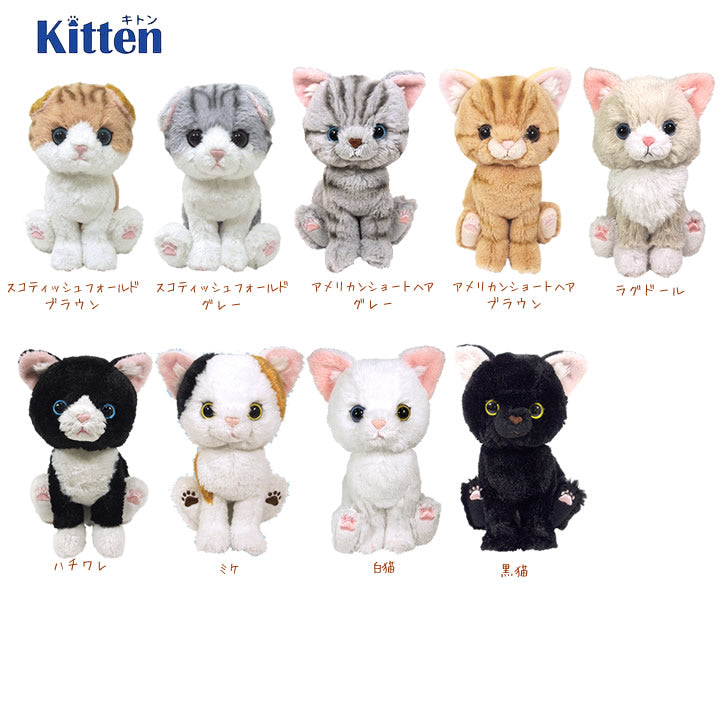 【残1個】【選択用ぬいぐるみ】キトン猫 ハチワレ