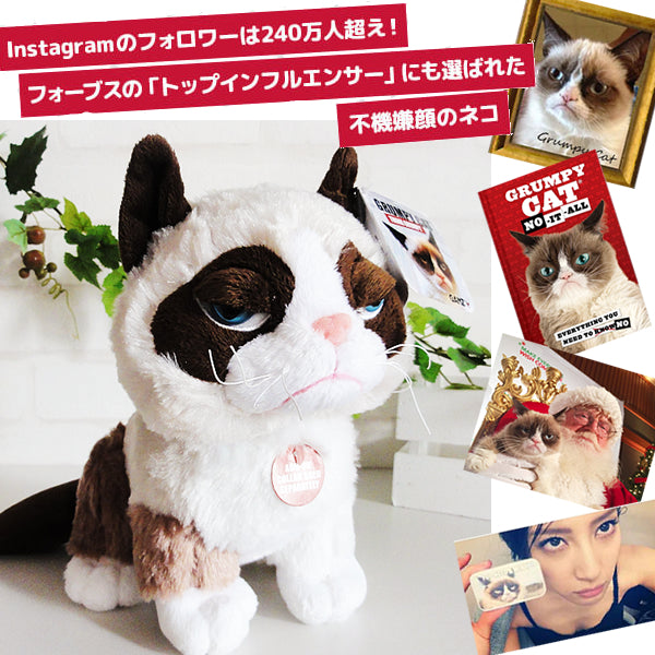 普通の可愛いじゃ物足りない猫好きさんへ Instagramフォロワー240万人超えの人気ぶさかわ猫のぬいぐるみ&バルーン プレゼント - 「グランピーキャット」のぬいぐるが運ぶ♪ワンバルーンセット<補充用ヘリウムガス付>