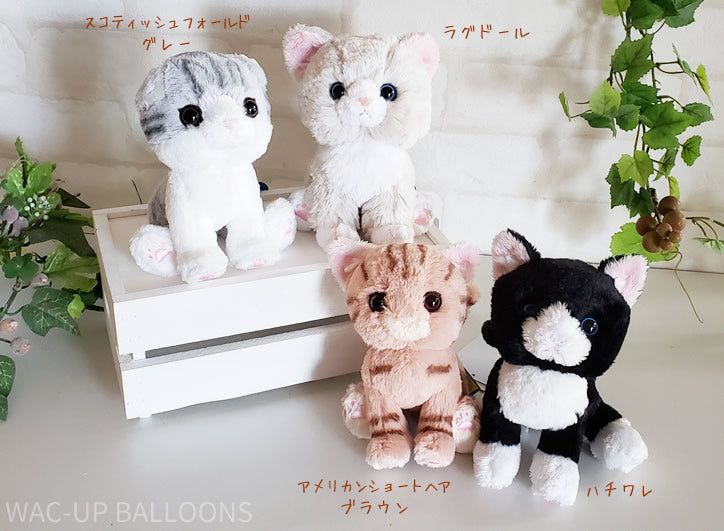 母の日 プレゼント 猫 ぬいぐるみ 花束 アメリカンショートヘア/ラグドール/黒猫/ミケ/スコティシュフォールド/スナネコ/キジトラ/ハチワレ - 母の日ミニバルーン花束ブーケ付キトンS