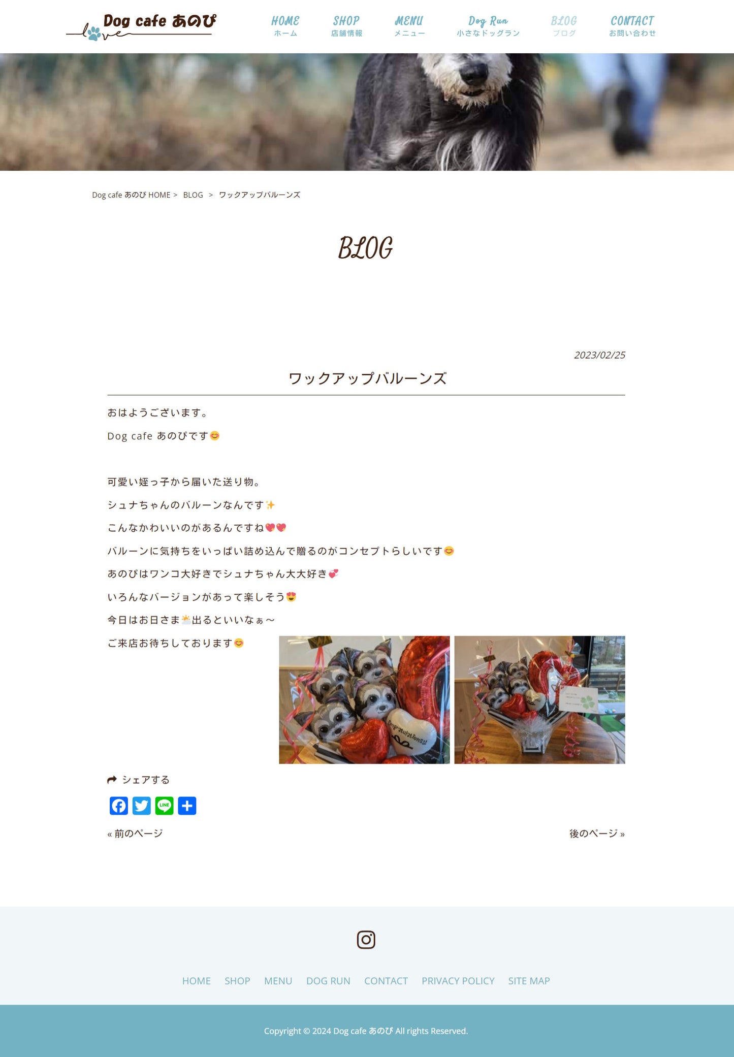 うさぎ 犬 猫 お祝い ギフト プレゼント 動物病院 開院祝い 周年記念 犬好き 猫好き うさぎ好き- 【卓上型バルーンアレンジメント】犬猫うさぎ1匹入り選べるミニプチ/オープンハートS