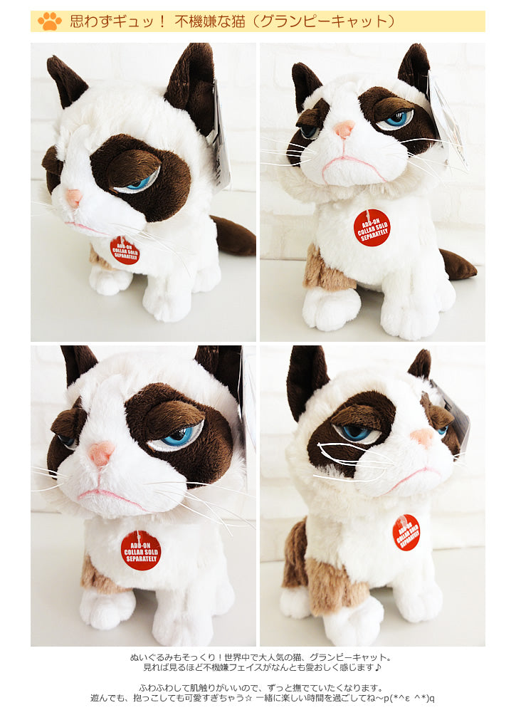 猫好きにはたまらないっ! 海外で大人気のブサイク可愛いぶさかわ猫 -「ブサカワ猫 グランピーキャット」のぬいぐるが運ぶ♪2バルーンインプチ(白ピンクハート)セット<補充用ヘリウムガス付>