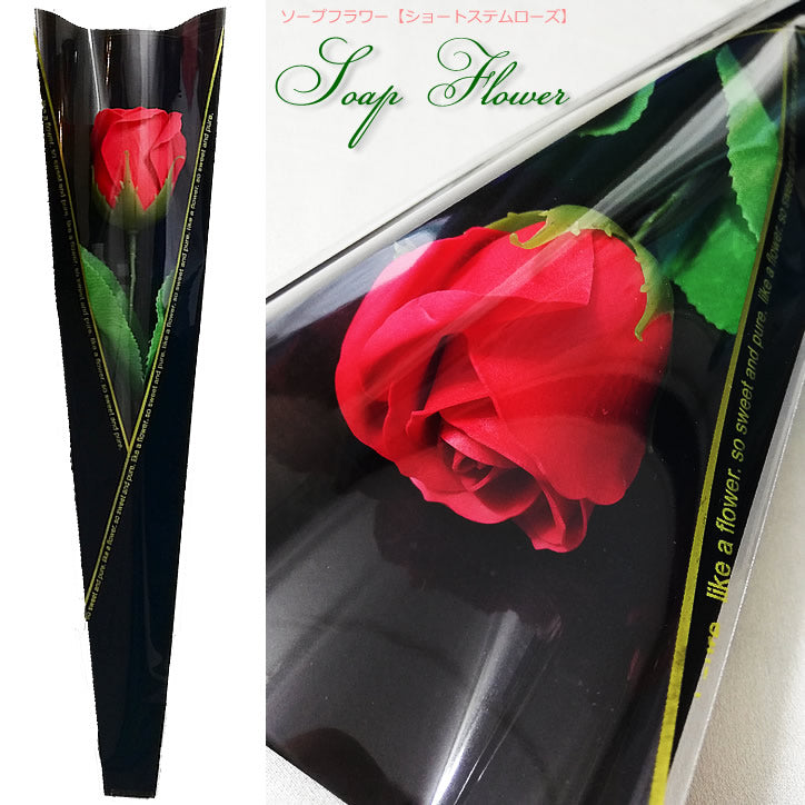 美女と野獣 結婚祝い ディズニー プレゼント - ぬいぐるみバルーンラッピングギフト:美女と野獣と一輪のバラ Wビーンズ<ゴールドバブル>