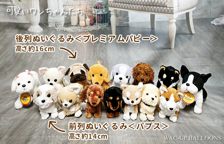 誕生日 開店祝い 電報 トイプードル ダックス パグ シーズー チワワ シュナウザー 柴犬 - 選べる!プレミアムパピー犬のぬいぐるみが運ぶ♪2バルーンインプチセット<補充用ヘリウムガス付>