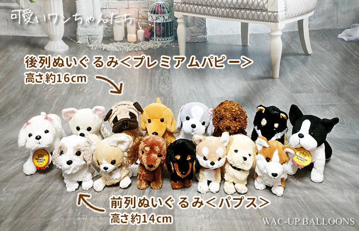 ぬいぐるみ【プレミアムパピー<ポメラニアン>】をセットに追加する♪