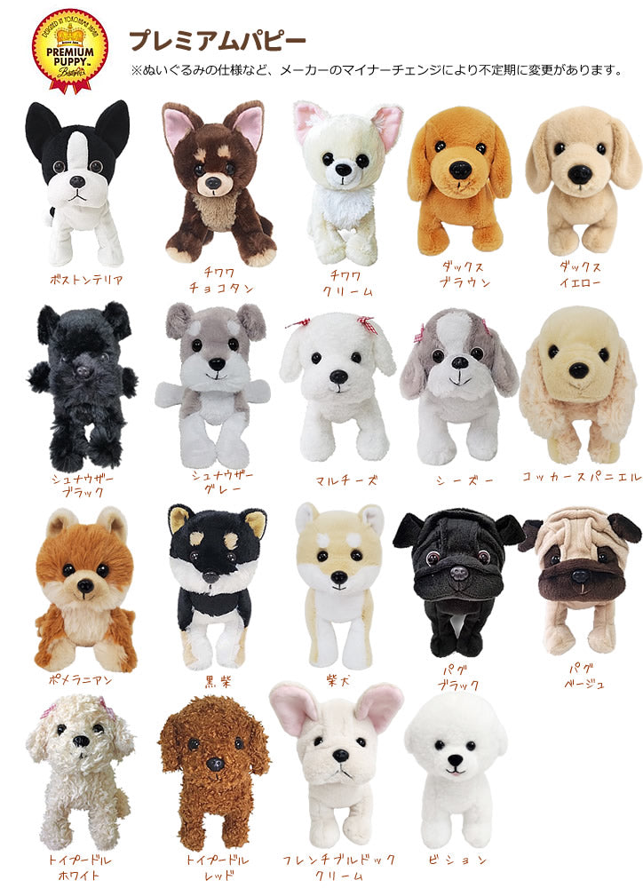 【選択用ぬいぐるみ】プレミアムパピー<ビション>
