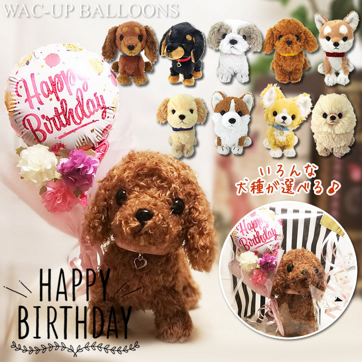 誕生日 プレゼント トイプードル チワワ 柴犬 ダックス ポメラニアン ゴールデンレトリバー コーギー シーズー 可愛い -  誕生日ゴールドピンクドット花束付パプス&ミニバルーンギフト