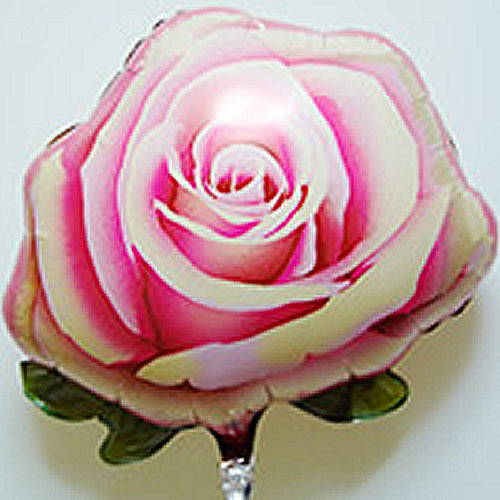 【選択用バルーン】SHロマンティックピンクローズ