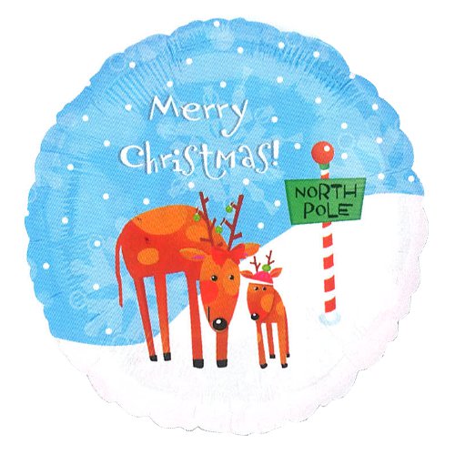 【選択用バルーン】 XMノースポール★