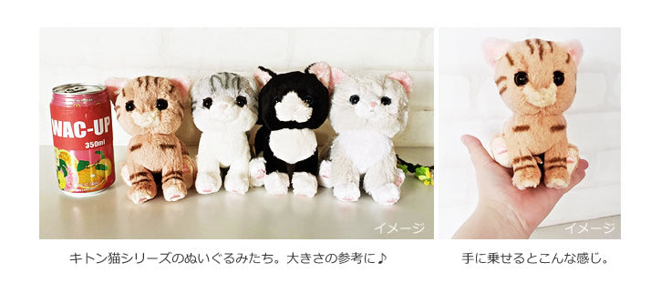 【選択用ぬいぐるみ】キトン猫<ミケ