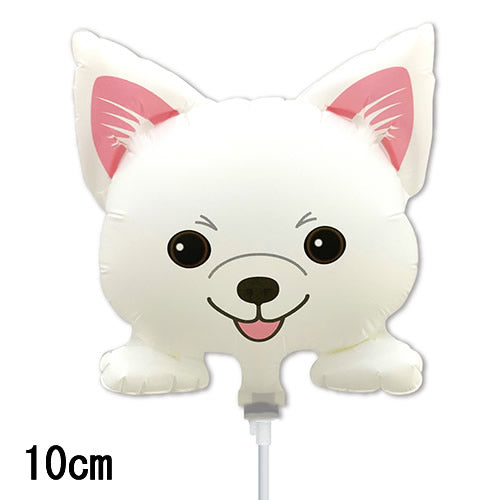 【選択用スティックバルーン】STWNミニわんこ NO.9 しろしば 14cm◆