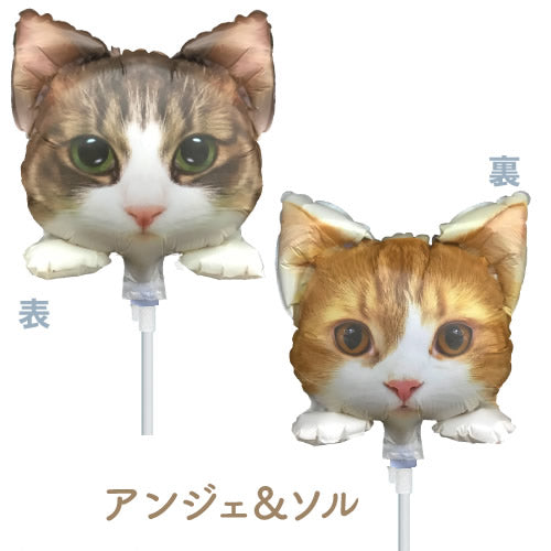 ZY専用【選択用スティック】STNNミニにゃんこ NO.31 アンジェ&ソル 14cm★