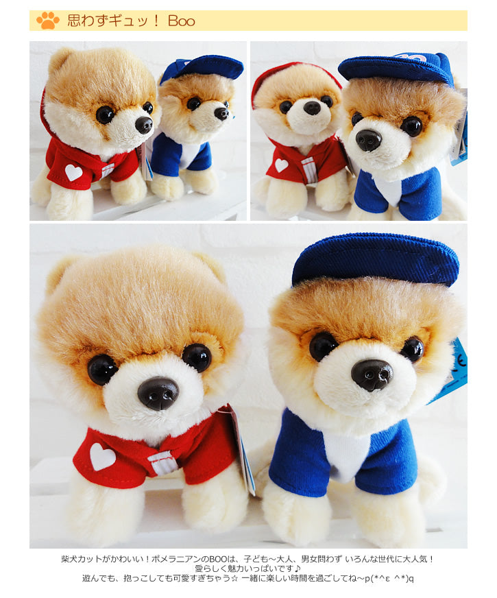 ぬいぐるみ【BOOブルーキャップ(GUND ガンド)】をセットに追加する♪スポーツ系ぬいぐるみ スポーツキャップ犬のぬいぐるみ ポメラニアン <バルーンアレンジメント追加OK>