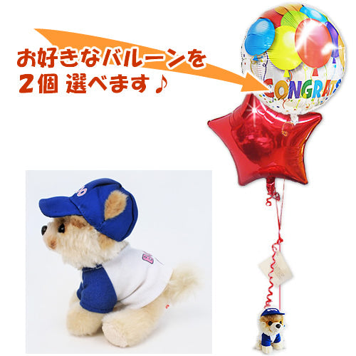 キャップをかぶった犬のぬいぐるみがバルーンを運びます - 「BOOブルーキャップ(GUND ガンド)」のぬいぐるが運ぶ♪2バルーンセット