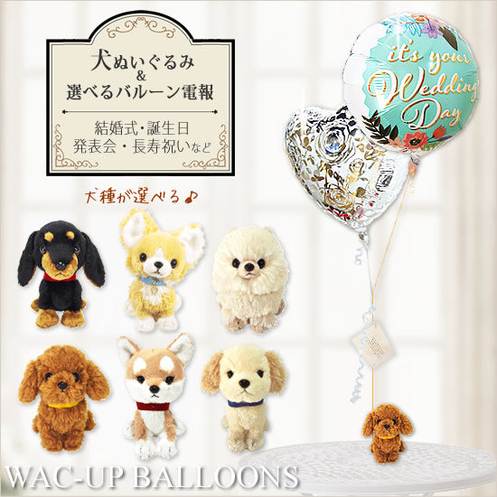 電報 結婚式 ぬいぐるみ 犬 いぬ おしゃれ 結婚祝い ギフト 祝電  トイプードル/チワワ/柴犬/コーギー/シーズー/ダックス/ポメラニアン/ゴールデンレトリバー - PUPSパプス犬のぬいぐるみが運ぶ♪2バルーンセット