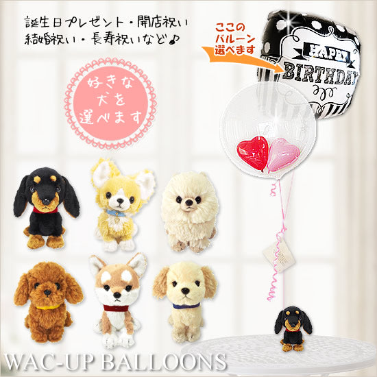 犬 誕生日 バルーン ぬいぐるみ プレゼント ミニチュアダックス/トイ