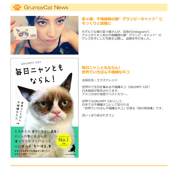 海外で大人気のブサカワ猫 Instagramフォロワー240万人超え！「トップインフルエンサー」にも選ばれた不機嫌顔のネコ - ぬいぐるみ【グランピーキャット】をセットに追加する♪