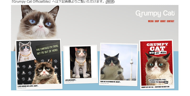 海外で大人気のブサカワ猫 Instagramフォロワー240万人超え！「トップインフルエンサー」にも選ばれた不機嫌顔のネコ - ぬいぐるみ【グランピーキャット】をセットに追加する♪