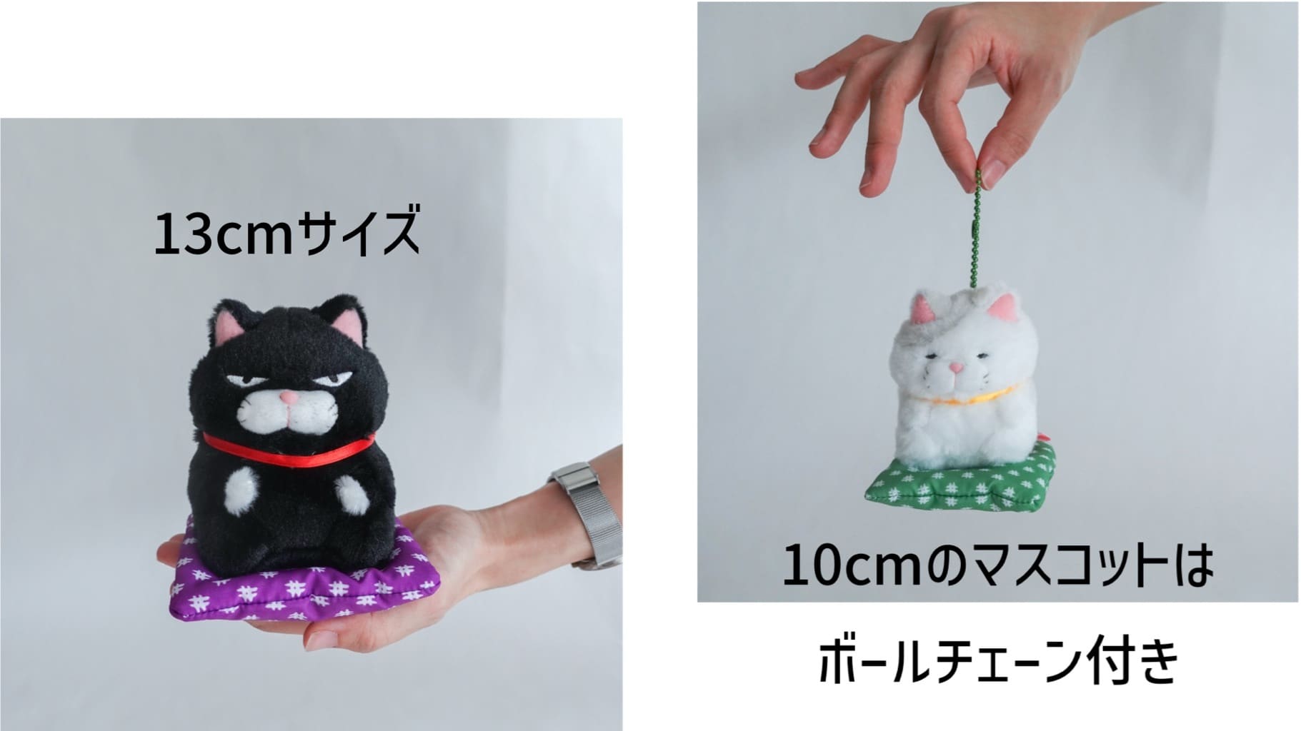 出品中のぬいぐるみ全て！まとめ売り 値段相談歓迎！ 🧸新景品入荷情報🧸 | おたちゅう 新潟黒埼店