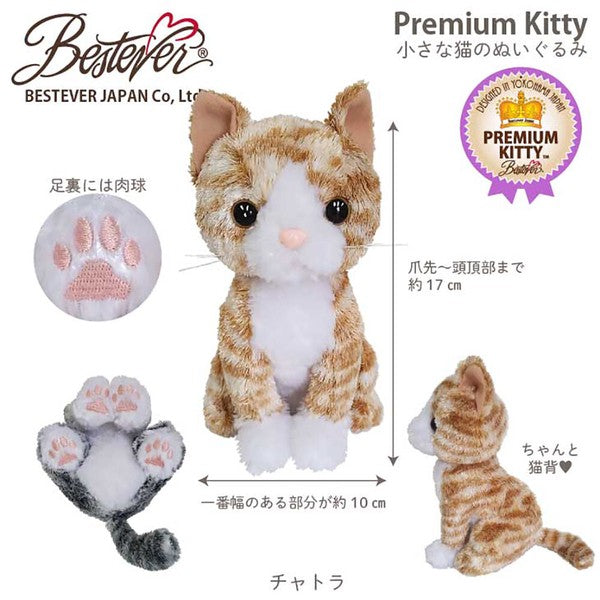 ぬいぐるみ【プレミアム猫 茶トラ】をセットに追加する♪