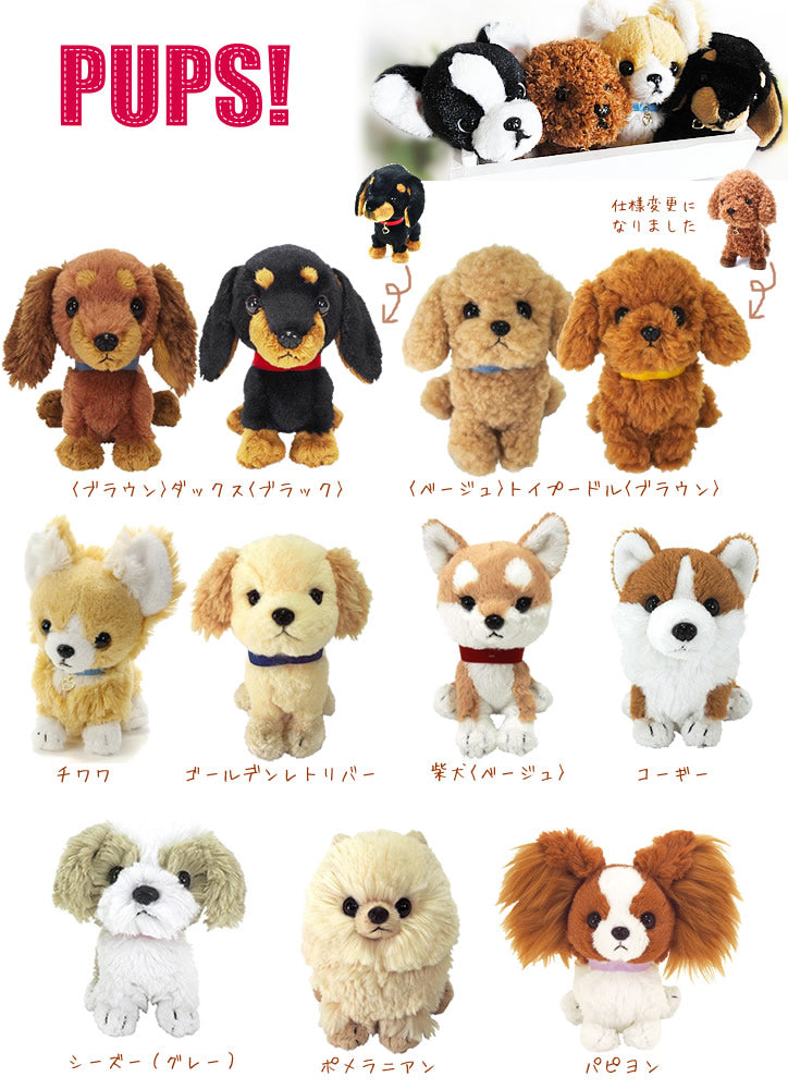 ぬいぐるみ【パプスPUPS パピヨン】をセットに追加する♪