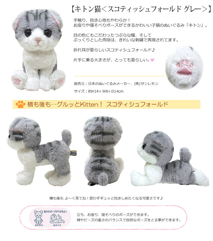 ぬいぐるみ【キトン猫<スコティッシュフォールド グレー>】をセットに追加する♪<バルーンアレンジメント追加OK> –  バルーン電報バルーンギフト総合専門店 ワックアップバルーンズ