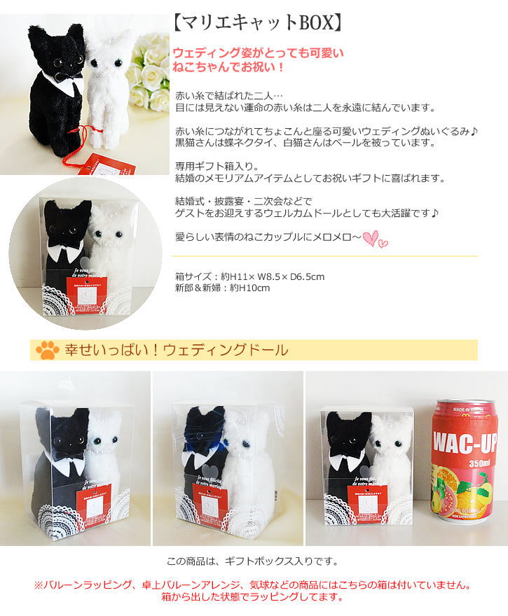 猫ちゃん お迎えグッズセット 【正規販売店】 - 食器・餌やり・水やり用品